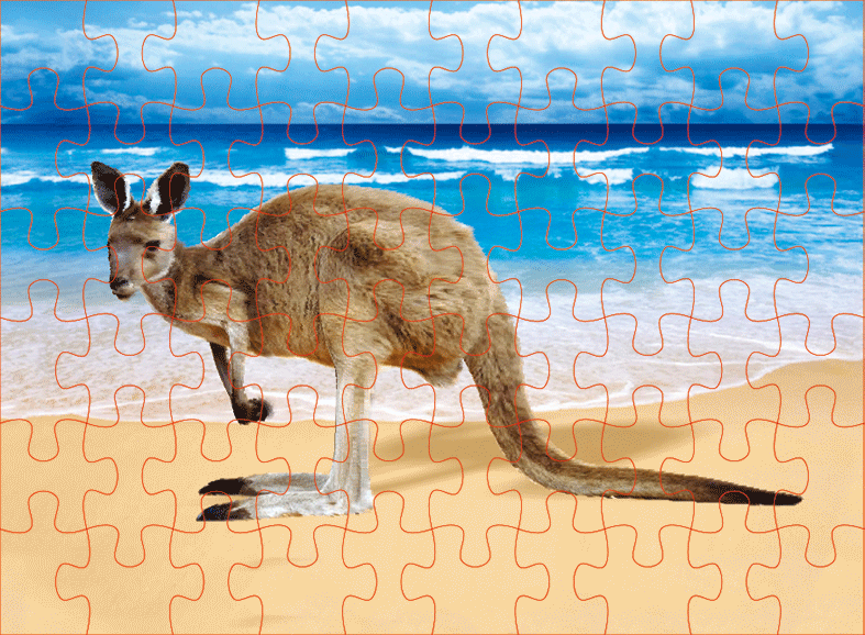 Kangaroo on the beach - The 3D Factory
