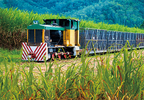 Sugarcane Train - The 3D Factory